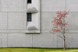 Photographie minimaliste - détail d'architecture